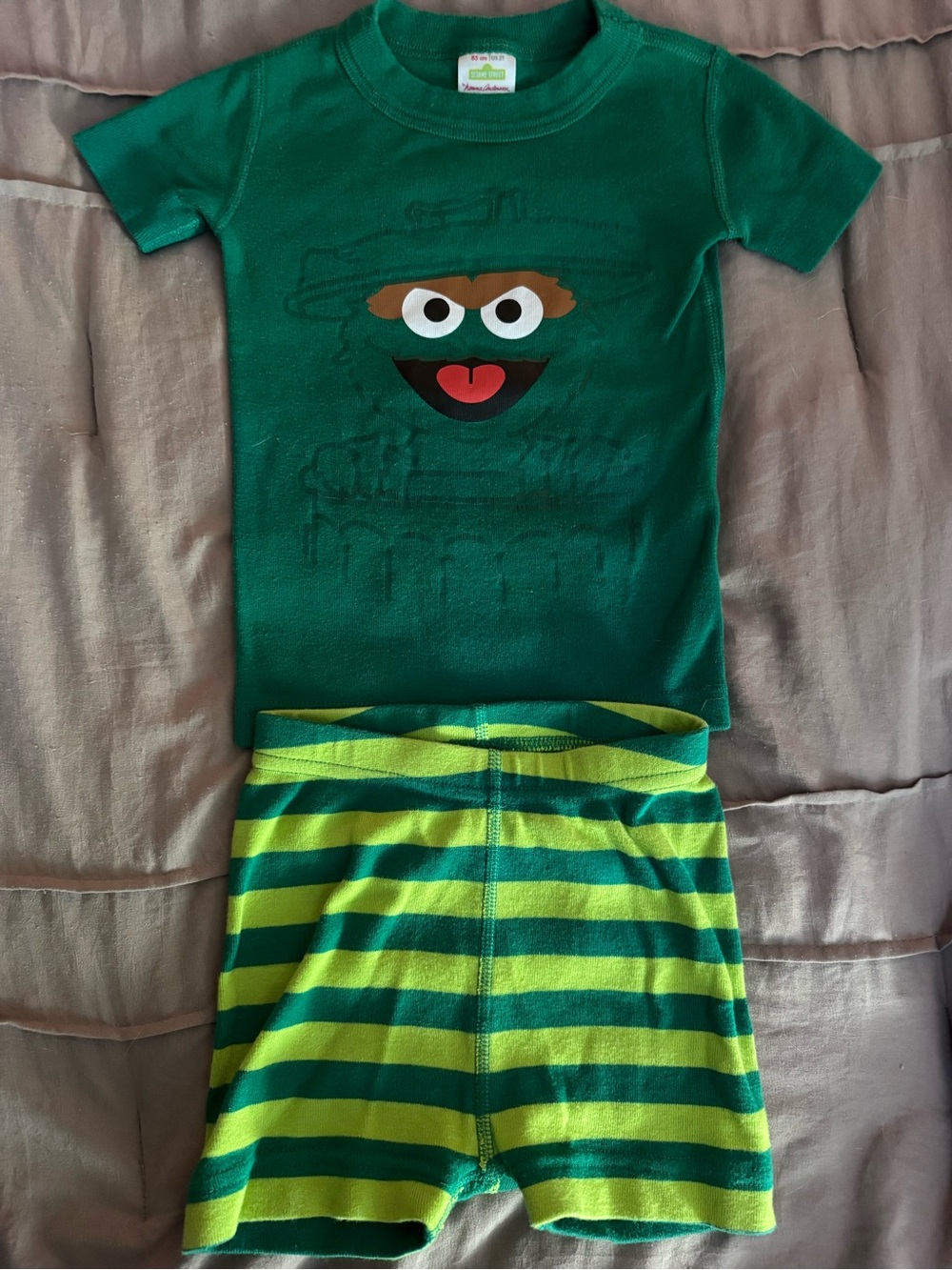 Hanna Andersson Green Oscar the Grouch Pajama Set